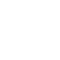 Spiny lobster